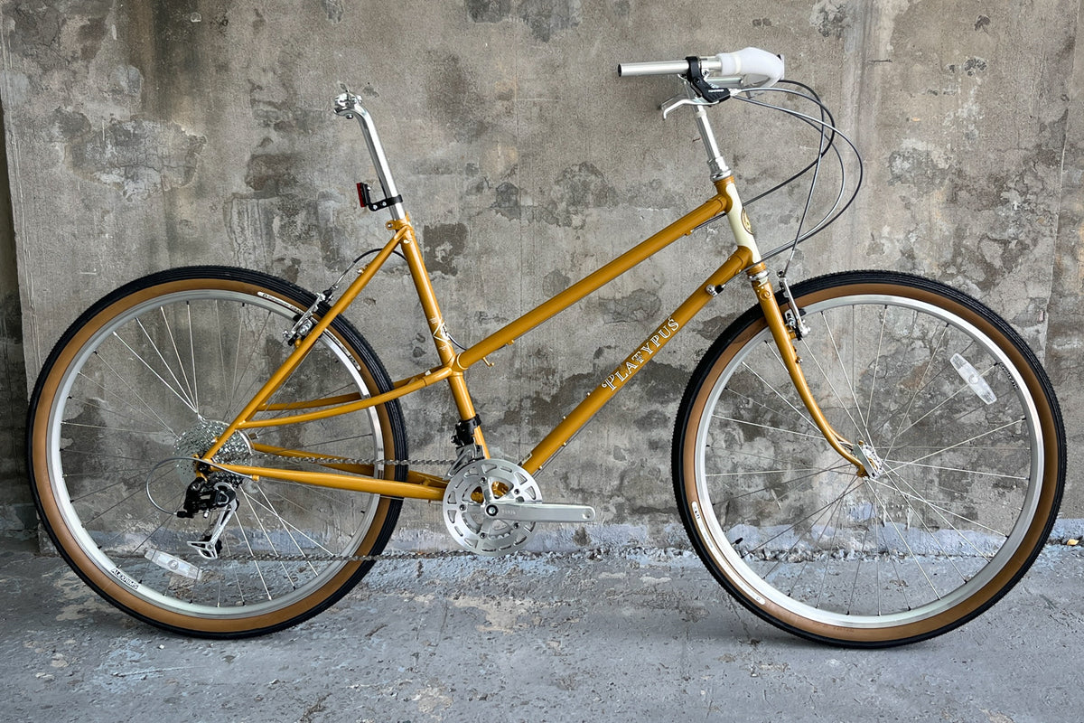 Platypus Complete Bike - Remaining 2024 Inventory