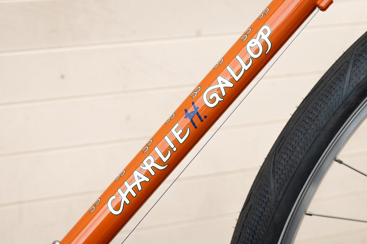 Frame - Charlie Gallop 2025