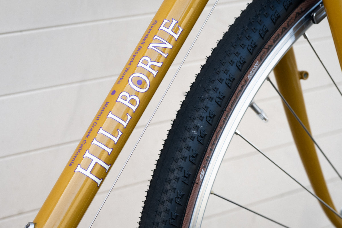 Frame - Sam Hillborne 2025