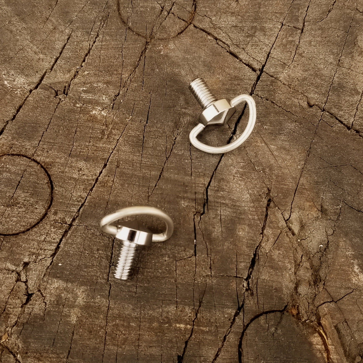 Silver shifter D-ring wingbolts, pair